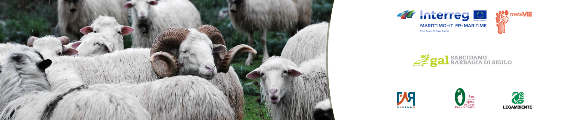 banner metavie 1920 x 400 px